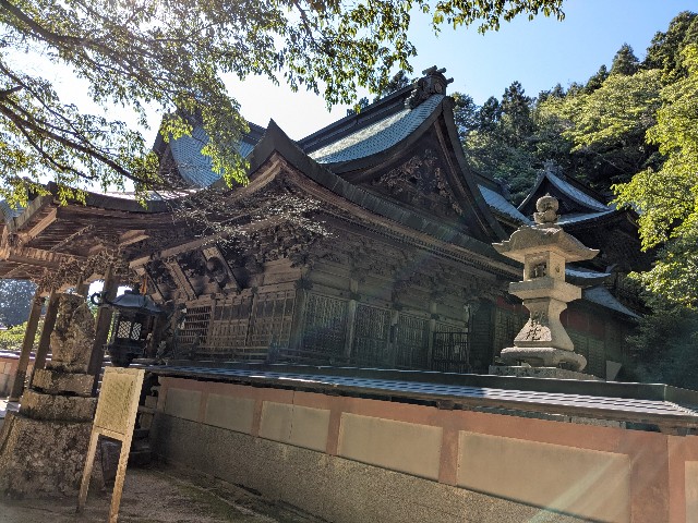 f:id:oomorigijyou:20250607134705j:image