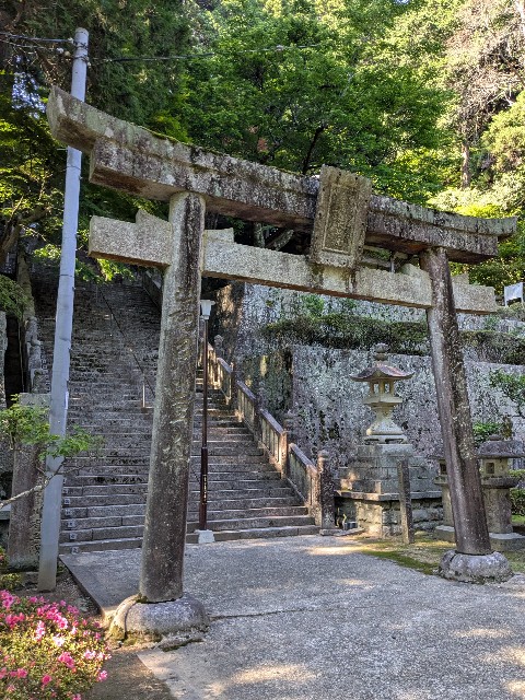 f:id:oomorigijyou:20250607134711j:image f:id:oomorigijyou:20250607134711j:image