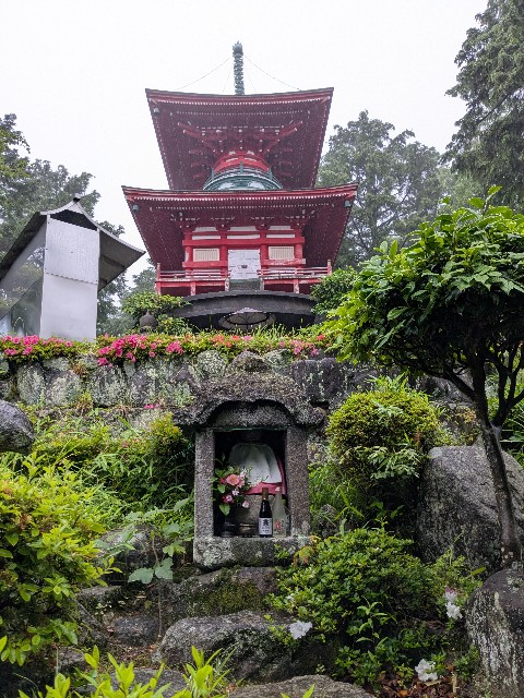 f:id:oomorigijyou:20250607160401j:image