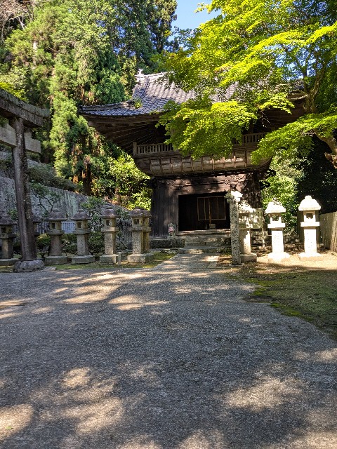 f:id:oomorigijyou:20250607192300j:image f:id:oomorigijyou:20250607192300j:image