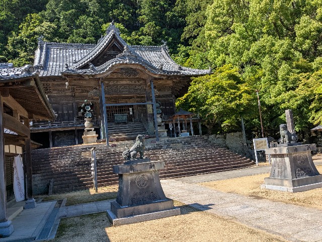 f:id:oomorigijyou:20250607192328j:image f:id:oomorigijyou:20250607192328j:image