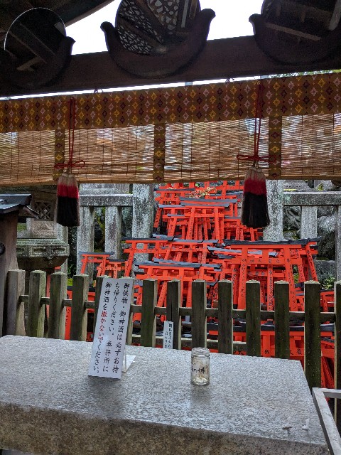 f:id:oomorigijyou:20250629040407j:image