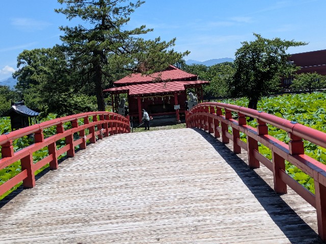 f:id:oomorigijyou:20250724145023j:image