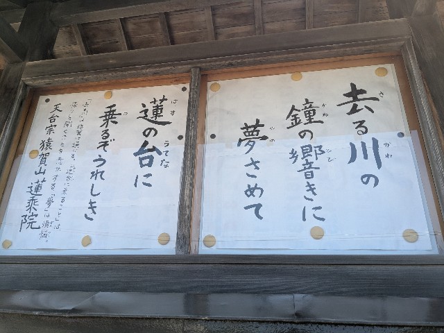 f:id:oomorigijyou:20250724145925j:image