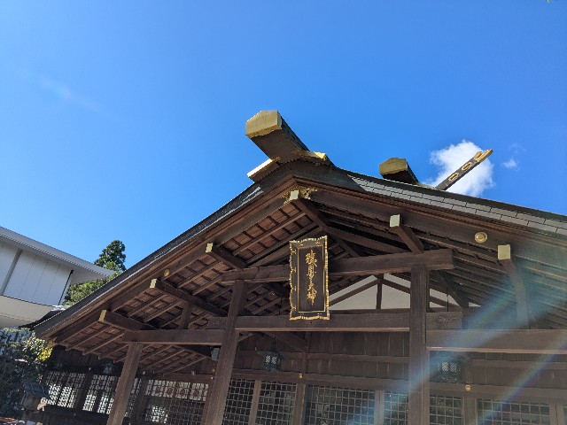 f:id:oomorigijyou:20250805154810j:image