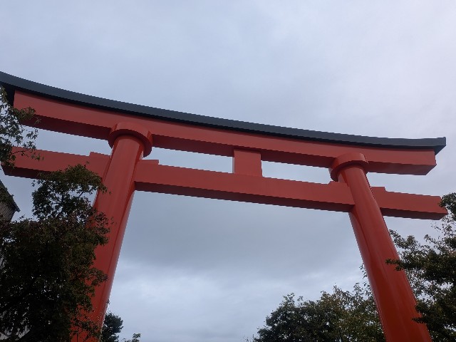 f:id:oomorigijyou:20250928203741j:image