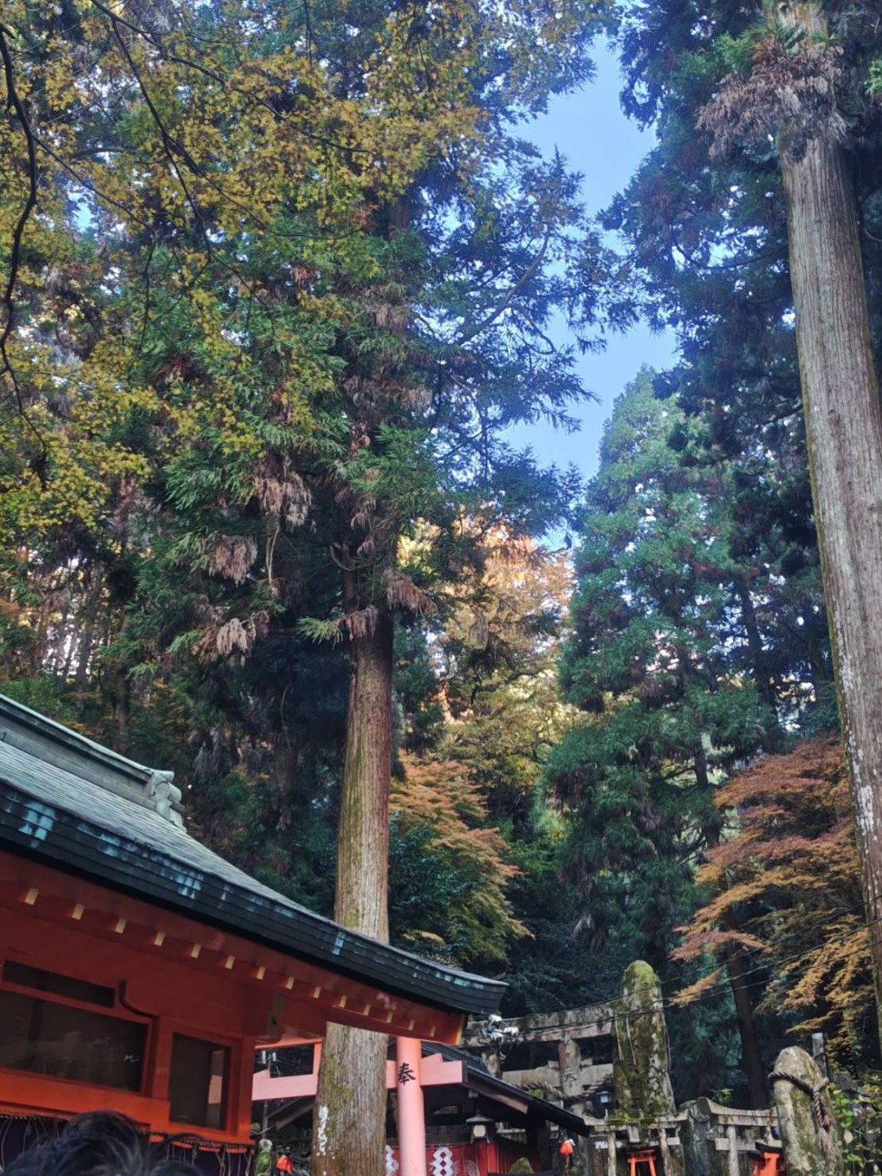 f:id:oomorigijyou:20251128200952j:image