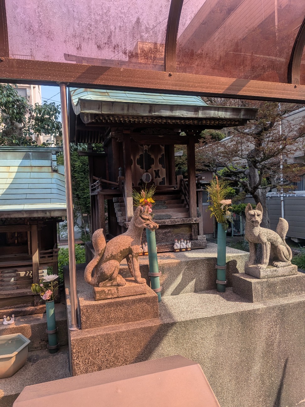 f:id:oomorigijyou:20260328123745j:image f:id:oomorigijyou:20260328123745j:image