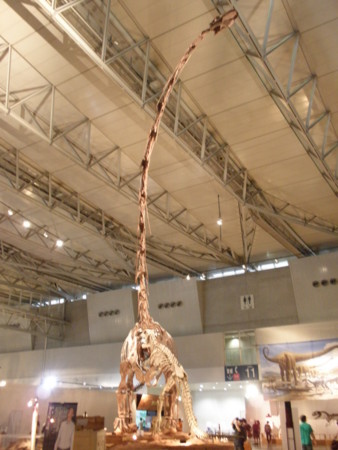 f:id:oomorishikiten:20090907141907j:image