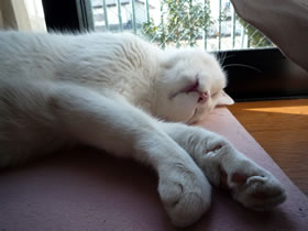 f:id:oonawa:20100307221137j:image f:id:oonawa:20100307221137j:image