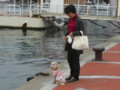 20130401090438