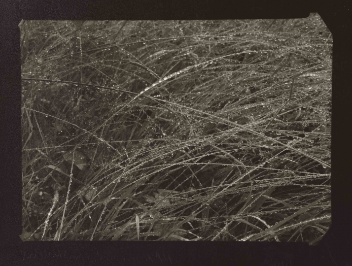 f:id:oonomdk:20190626215837j:plain f:id:oonomdk:20190626215837j:plain