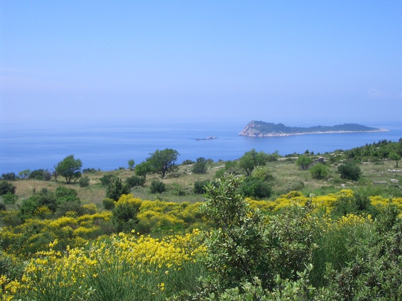 f:id:ooocrooo:20070607120046j:image