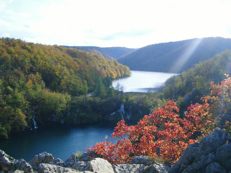f:id:ooocrooo:20071019155640j:image