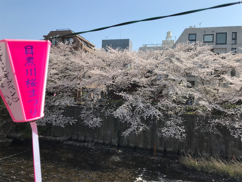f:id:oooka-ryo:20190408193314j:image