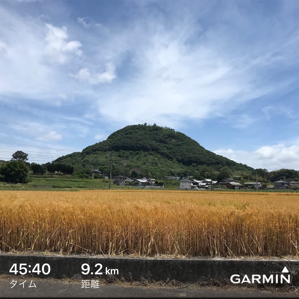 f:id:oooka-ryo:20190520080033j:image f:id:oooka-ryo:20190520080033j:image