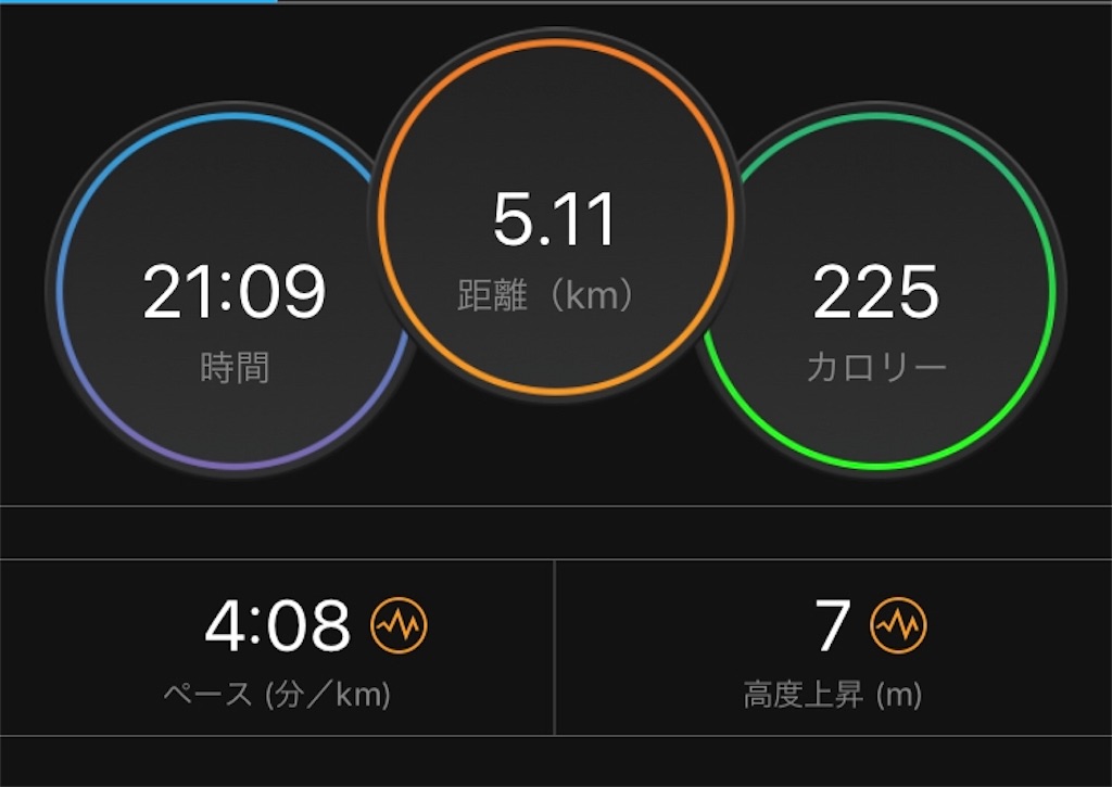 f:id:oooka-ryo:20190528082003j:image