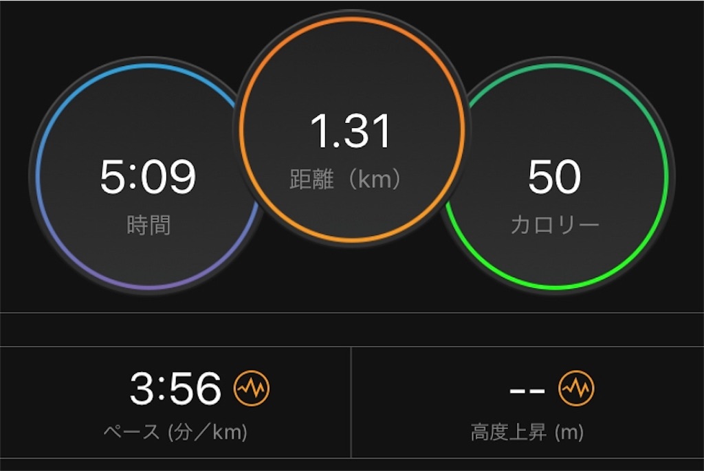 f:id:oooka-ryo:20190528082219j:image