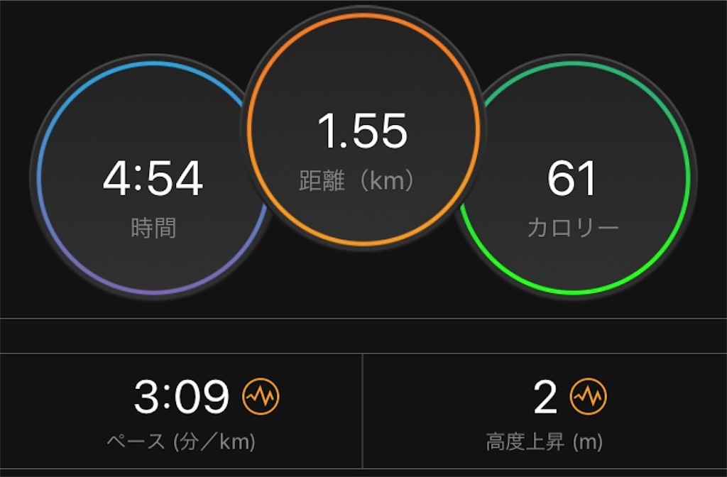 f:id:oooka-ryo:20190528084011j:image