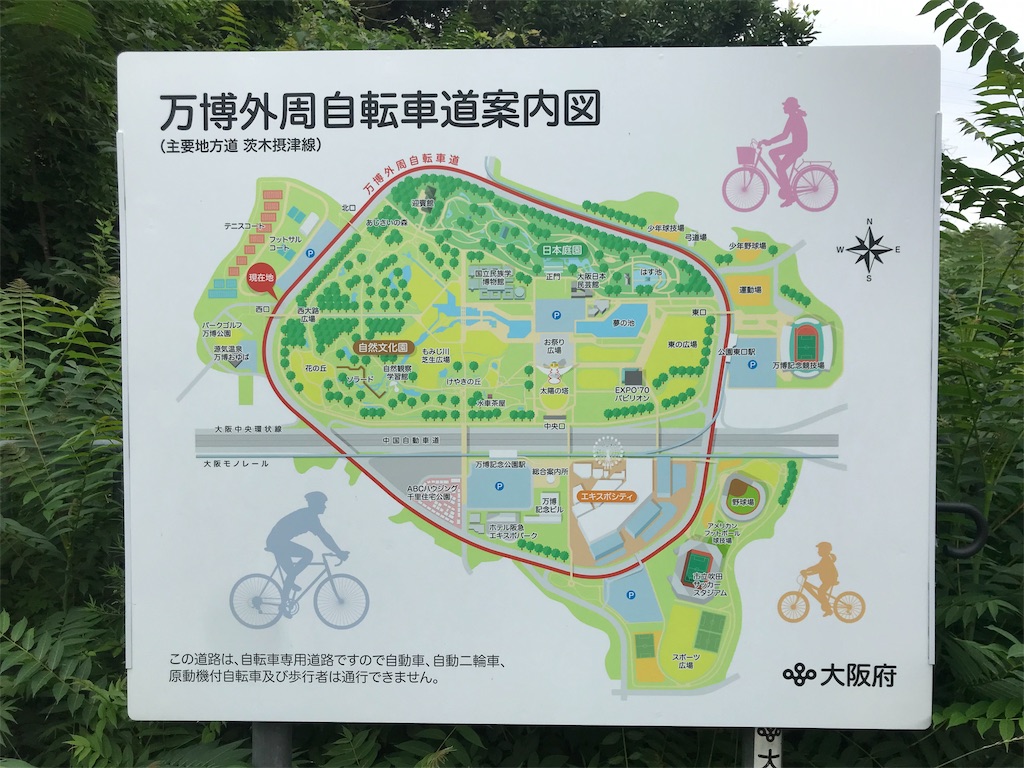 f:id:oooka-ryo:20190703140659j:image f:id:oooka-ryo:20190703140659j:image