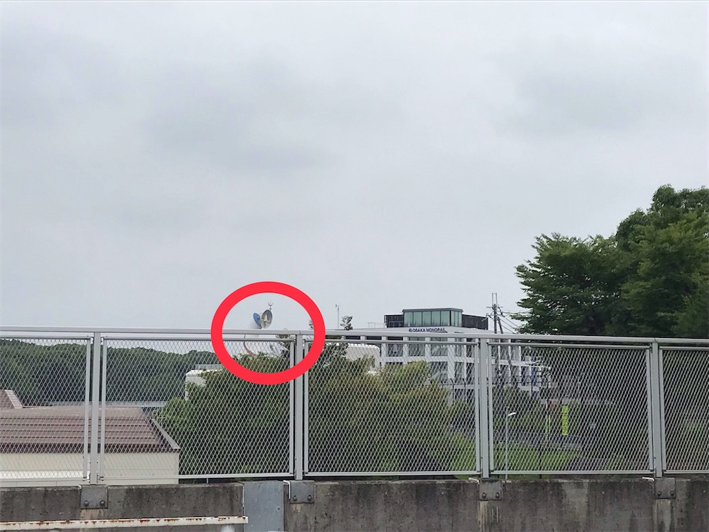 f:id:oooka-ryo:20190703141706j:image f:id:oooka-ryo:20190703141706j:image