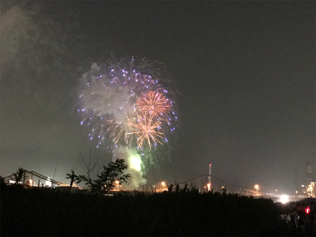f:id:oooka-ryo:20190802075926j:image