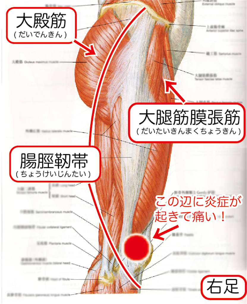 f:id:oooka-ryo:20200118144543p:image