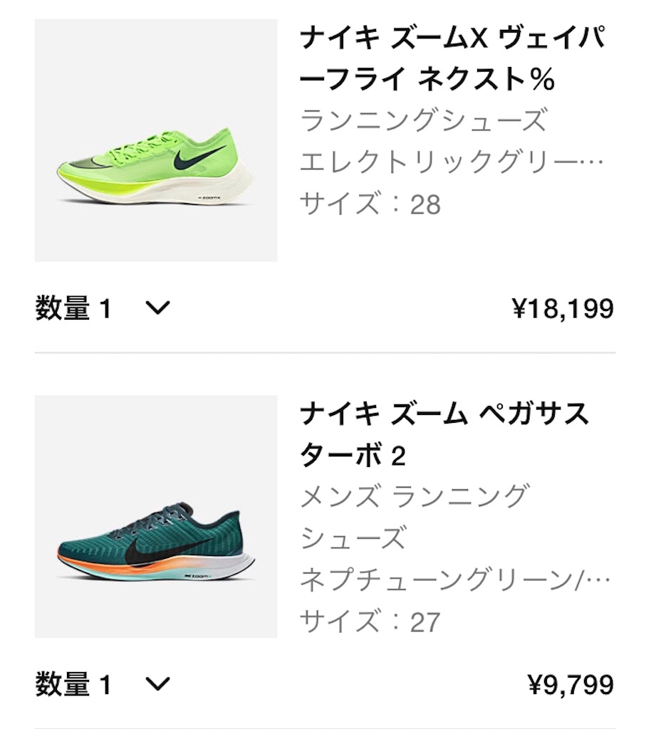 f:id:oooka-ryo:20200515192928j:image f:id:oooka-ryo:20200515192928j:image