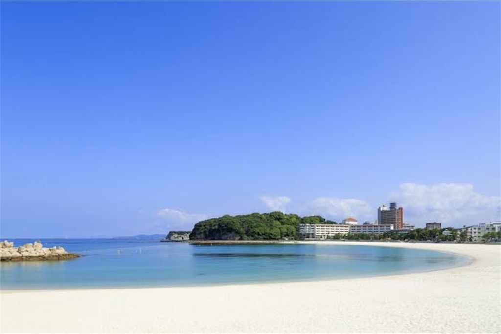 f:id:oooka-ryo:20200520212451j:image f:id:oooka-ryo:20200520212451j:image