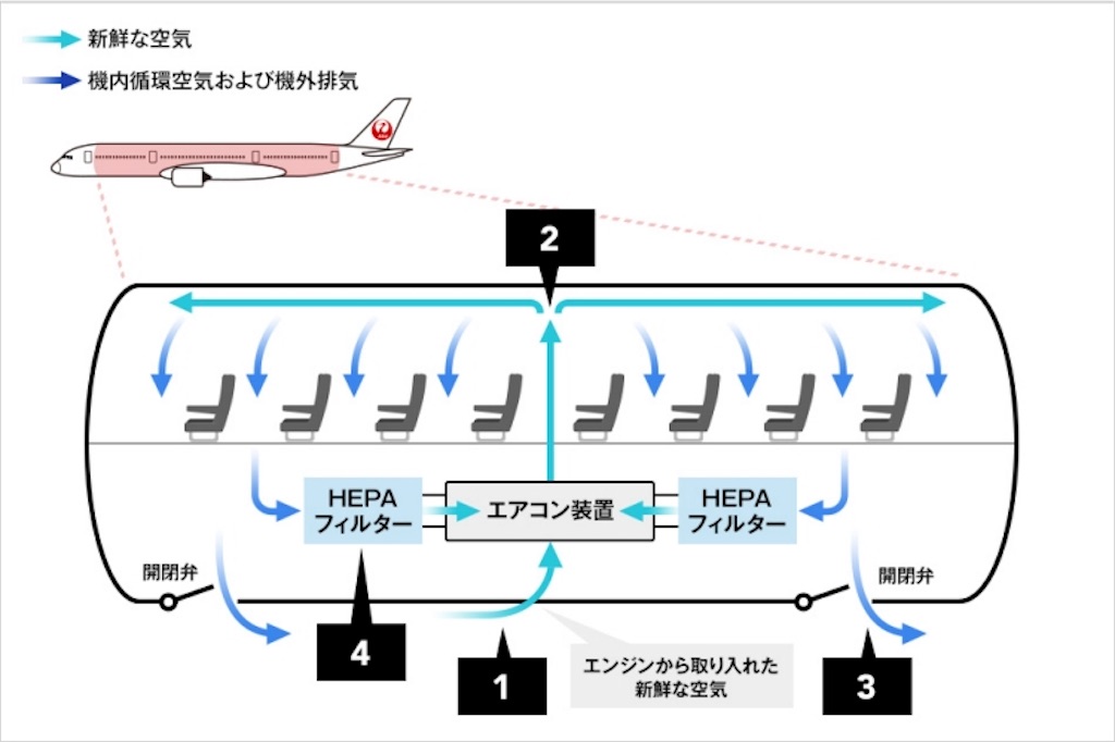 f:id:oooka-ryo:20200609114256j:image f:id:oooka-ryo:20200609114256j:image