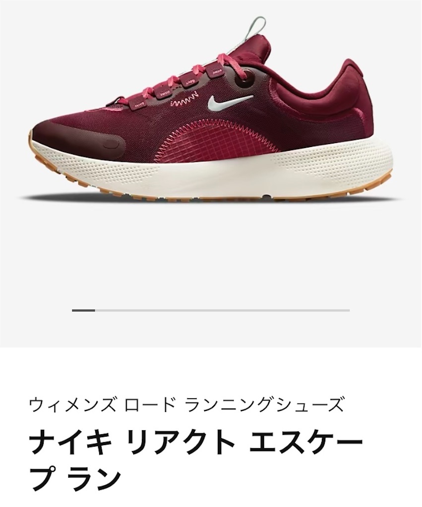 f:id:oooka-ryo:20211224203532j:image f:id:oooka-ryo:20211224203532j:image