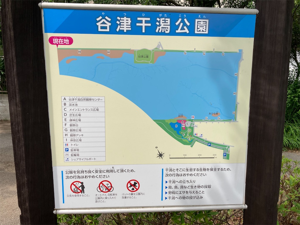 f:id:oooka-ryo:20220620220426j:image f:id:oooka-ryo:20220620220426j:image