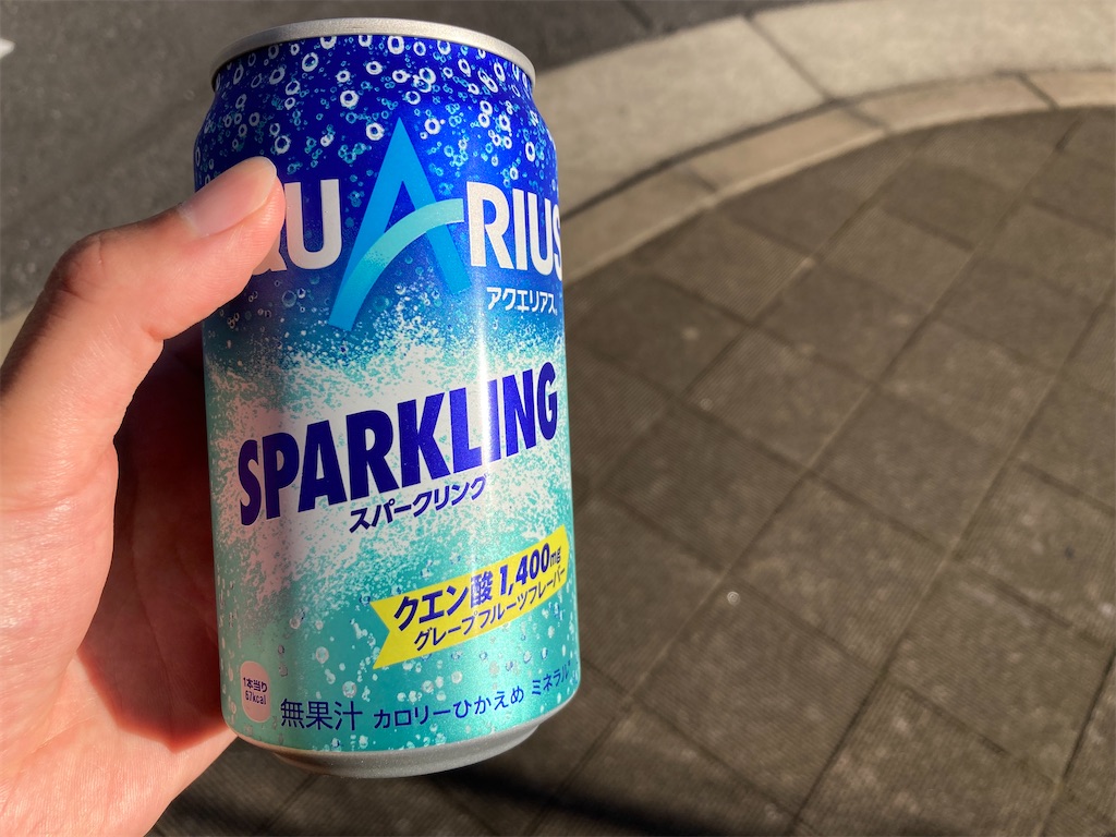 f:id:oooka-ryo:20220724210806j:image f:id:oooka-ryo:20220724210806j:image