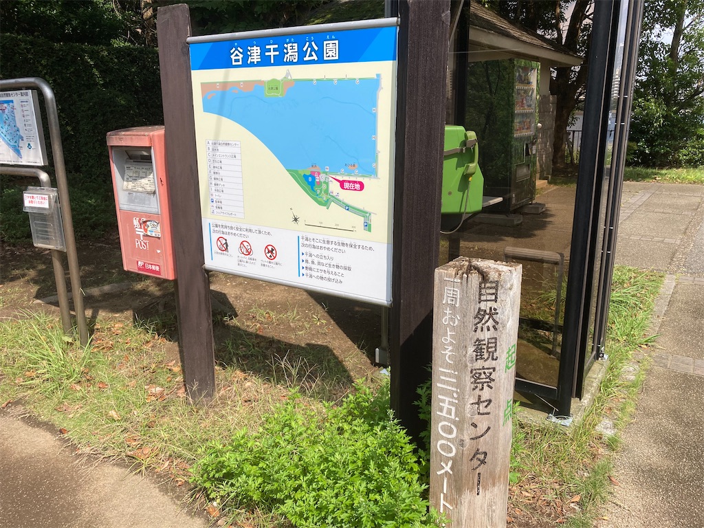 f:id:oooka-ryo:20220919190035j:image