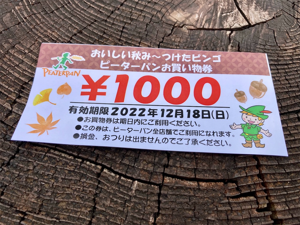 f:id:oooka-ryo:20221009153741j:image
