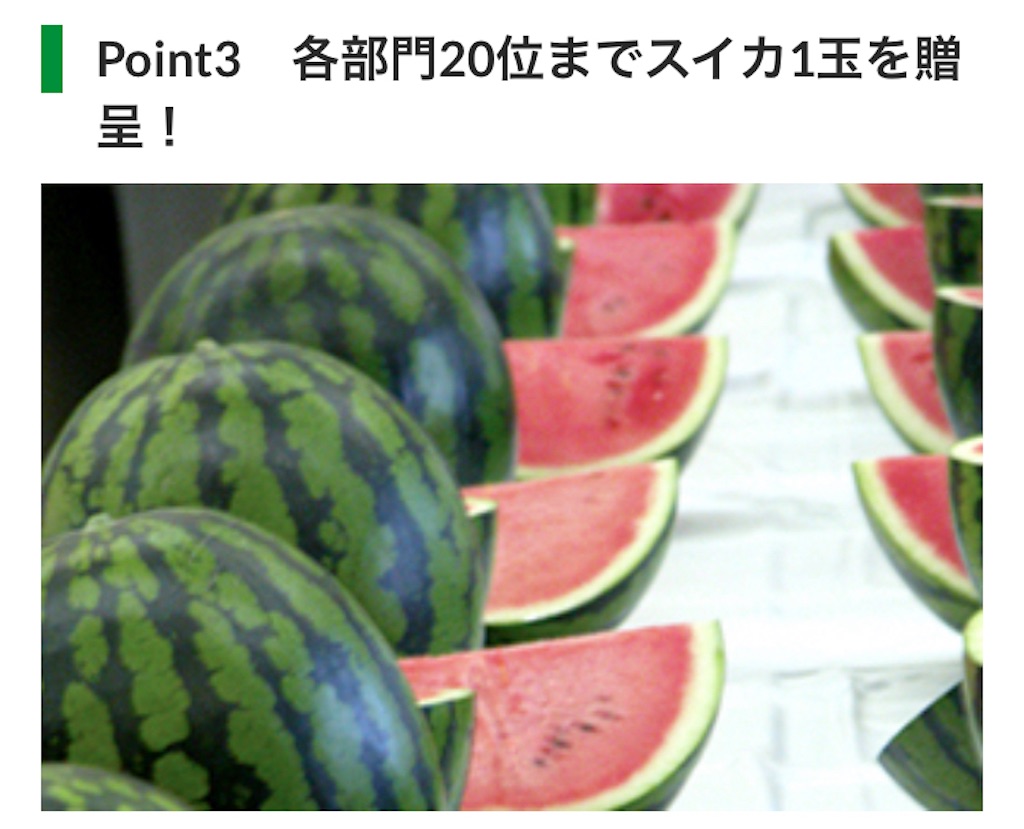 f:id:oooka-ryo:20230227092340j:image f:id:oooka-ryo:20230227092340j:image