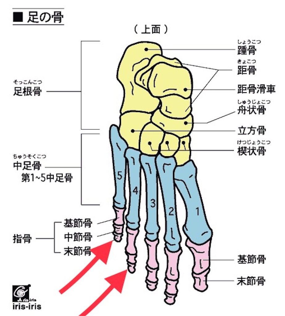 f:id:oooka-ryo:20230303093005j:image f:id:oooka-ryo:20230303093005j:image