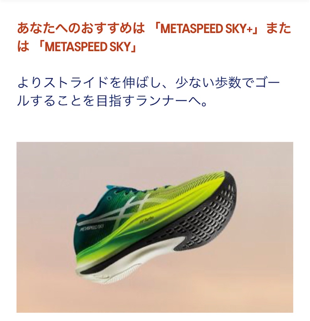 f:id:oooka-ryo:20230320182952j:image f:id:oooka-ryo:20230320182952j:image