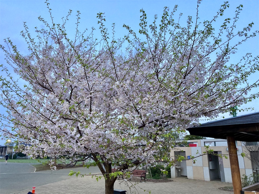 f:id:oooka-ryo:20230331065029j:image f:id:oooka-ryo:20230331065029j:image