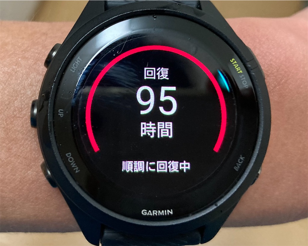 f:id:oooka-ryo:20230401181703j:image f:id:oooka-ryo:20230401181703j:image