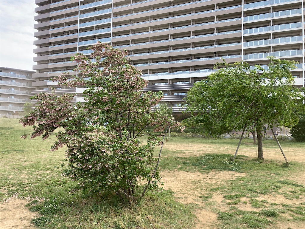 f:id:oooka-ryo:20230506122144j:image f:id:oooka-ryo:20230506122144j:image