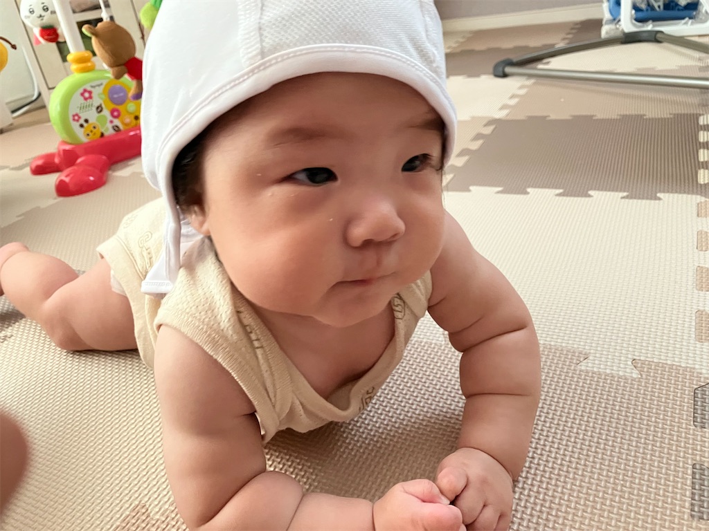 f:id:oooka-ryo:20230708121413j:image f:id:oooka-ryo:20230708121413j:image