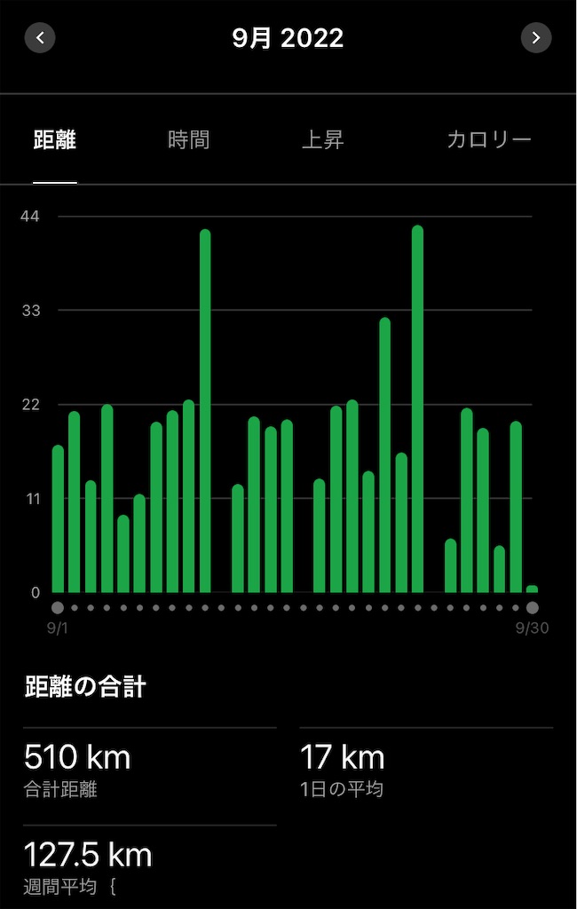 f:id:oooka-ryo:20230908123638j:image f:id:oooka-ryo:20230908123638j:image
