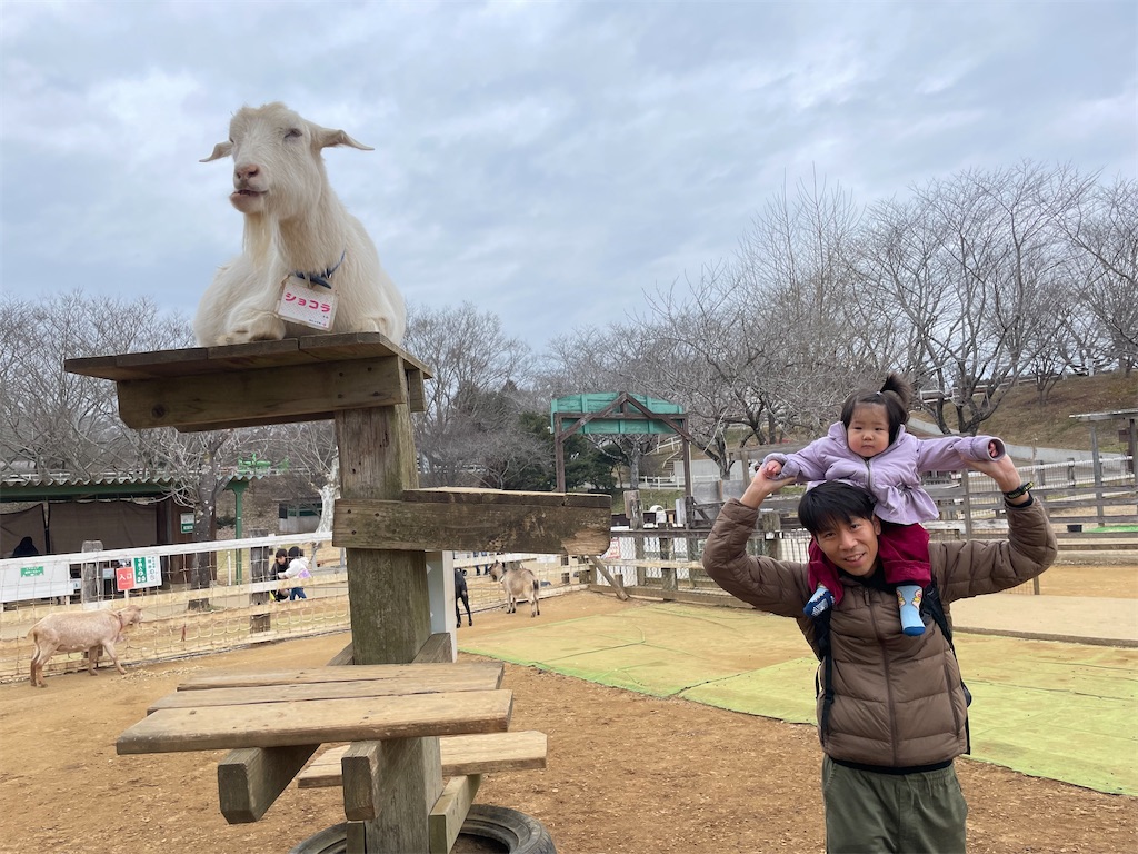 f:id:oooka-ryo:20240120213826j:image
