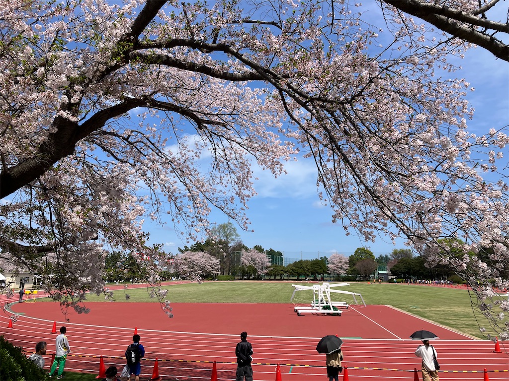 f:id:oooka-ryo:20240413172010j:image f:id:oooka-ryo:20240413172010j:image