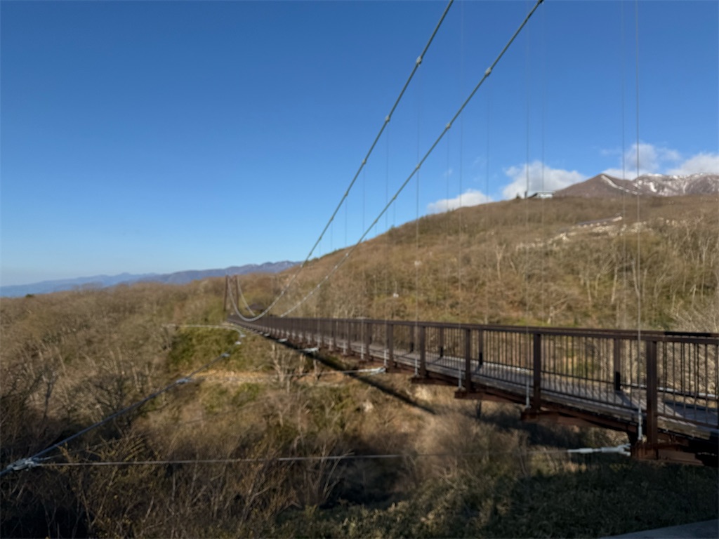 f:id:oooka-ryo:20250501123829j:image
