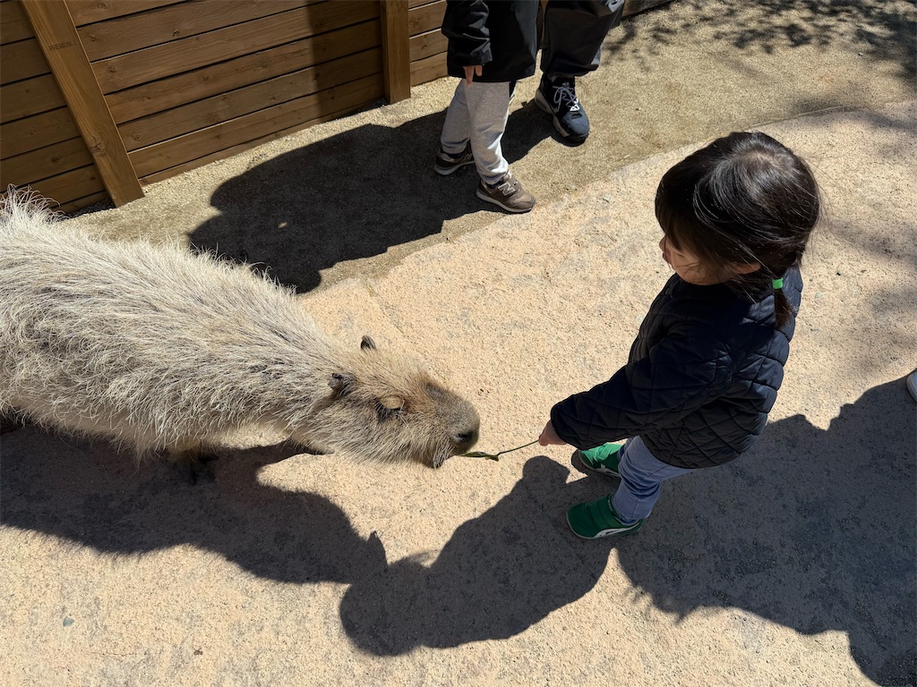 f:id:oooka-ryo:20250501125242j:image