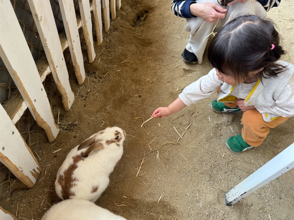 f:id:oooka-ryo:20250501125247j:image