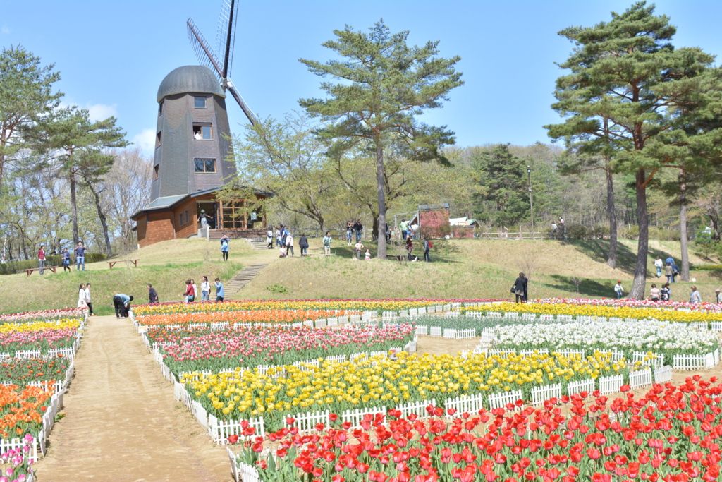 f:id:oooooomura:20170507214008j:plain f:id:oooooomura:20170507214008j:plain