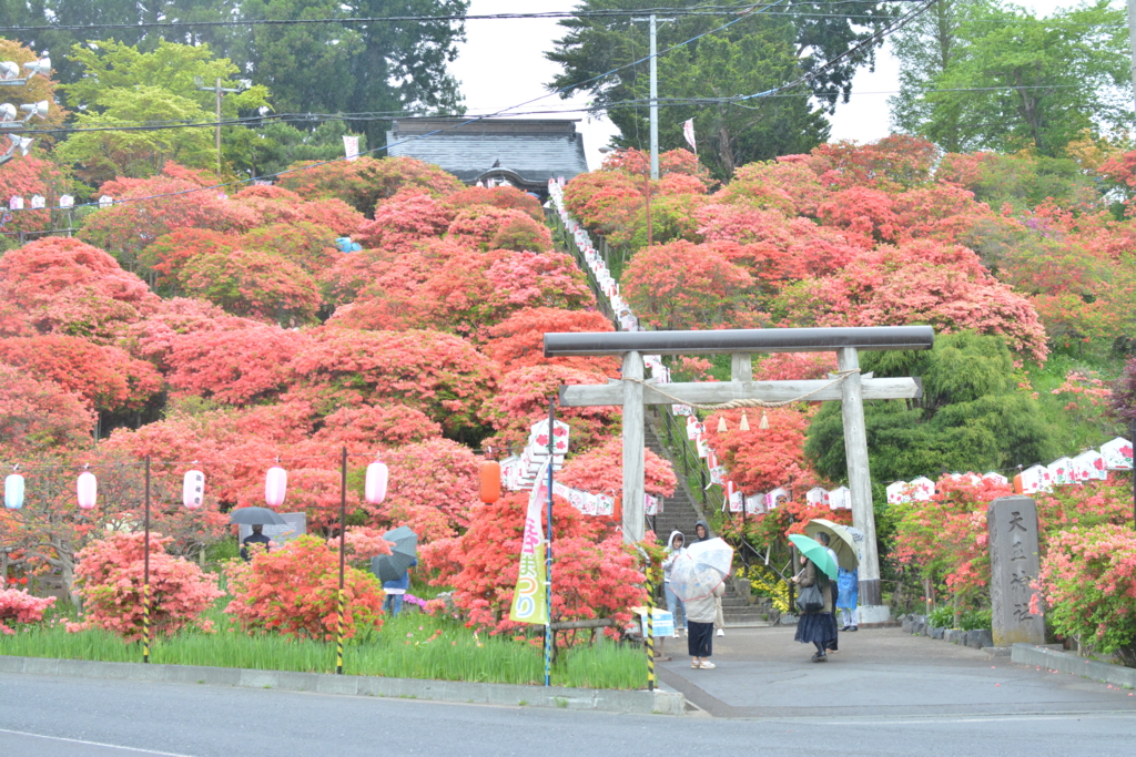 f:id:oooooomura:20170514192551j:plain f:id:oooooomura:20170514192551j:plain